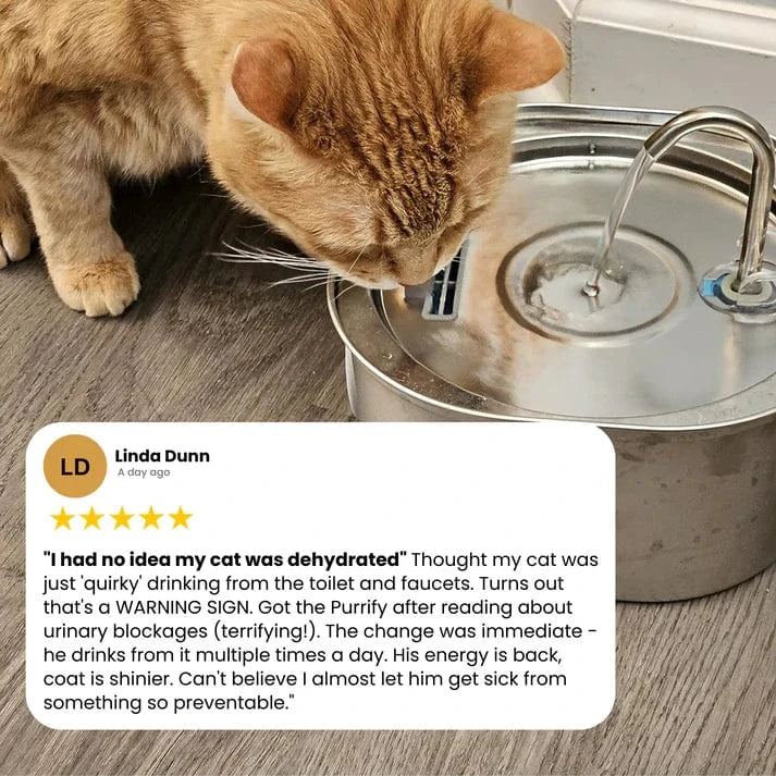 PurrFlow™ Cat Water Fountain