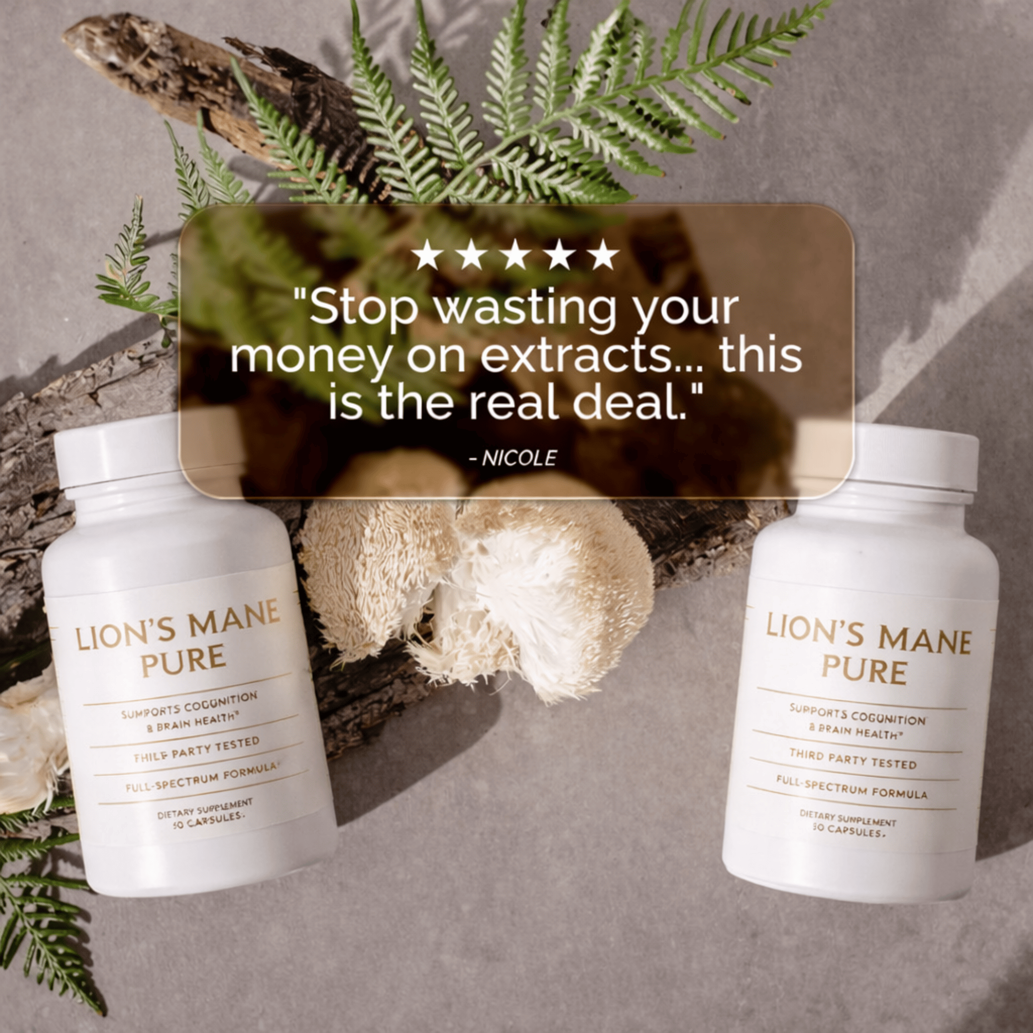 Lion's Mane Pure | Clinically Proven Cognitive Support