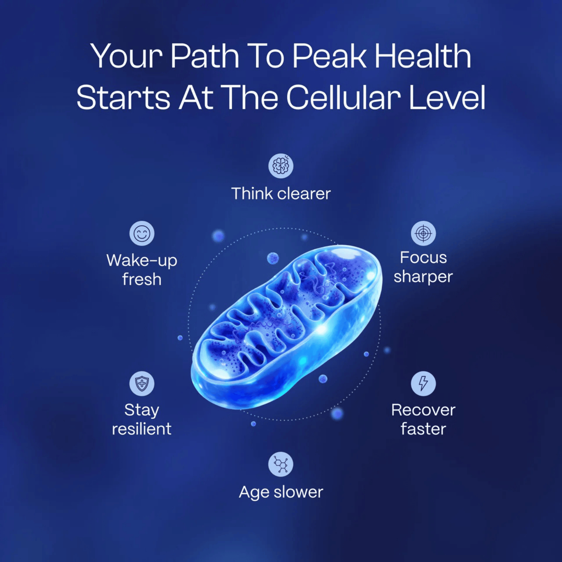 Methylene Blue Pure 60mL (2.0 oz) | Support Brain Fog at the Cellular Level