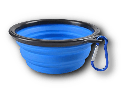 Collapsible Dog Bowl